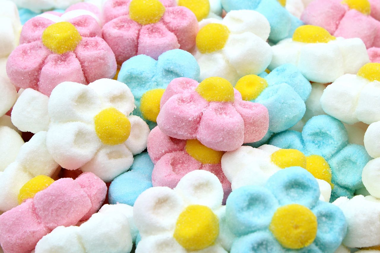 Marshmallow - Daisy Flowers 900 GR VARIOUS COLORS 